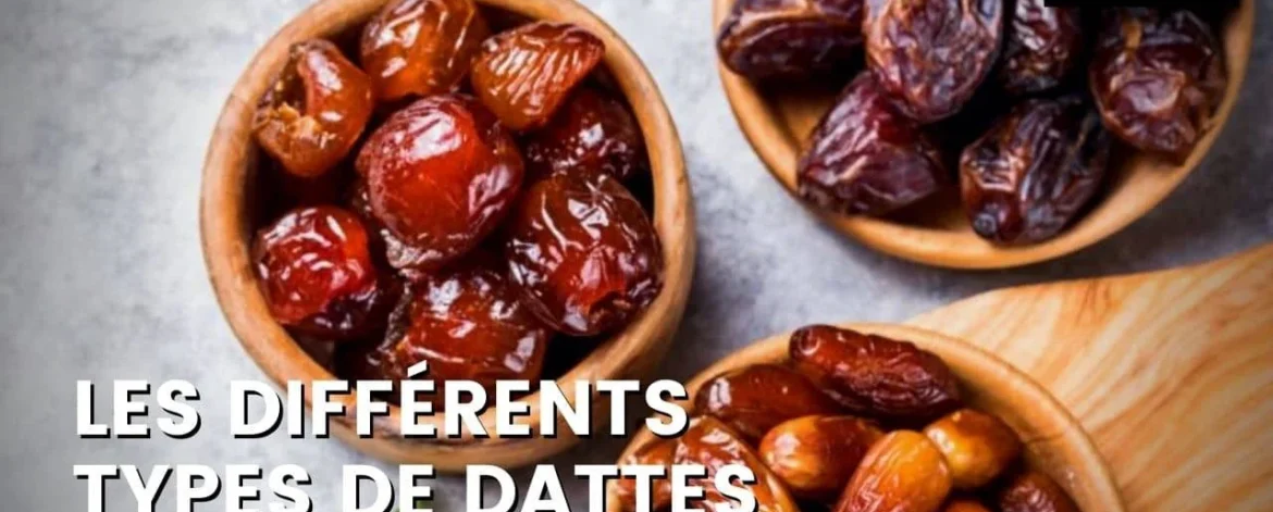 92788528_3473b8a5-3bbc-44de-934a-0bde875ff8bf