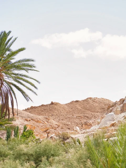 Oasis de Montagne Tozeur